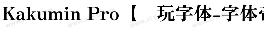 Kakumin Pro【爱玩字体字体转换